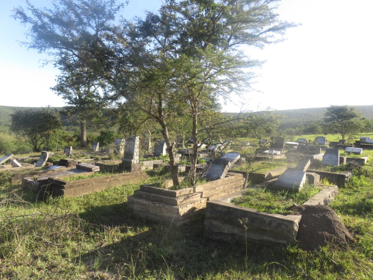3. Overview.