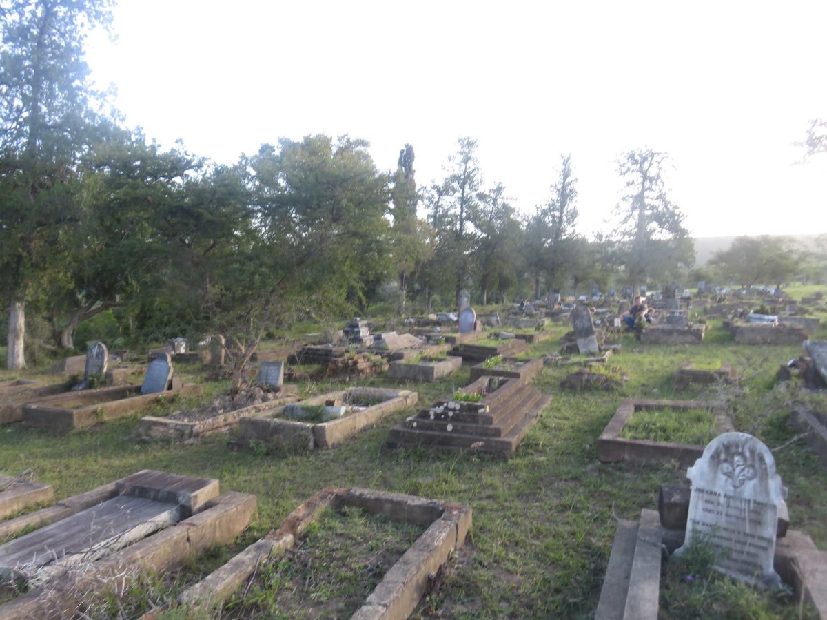 2. Overview
