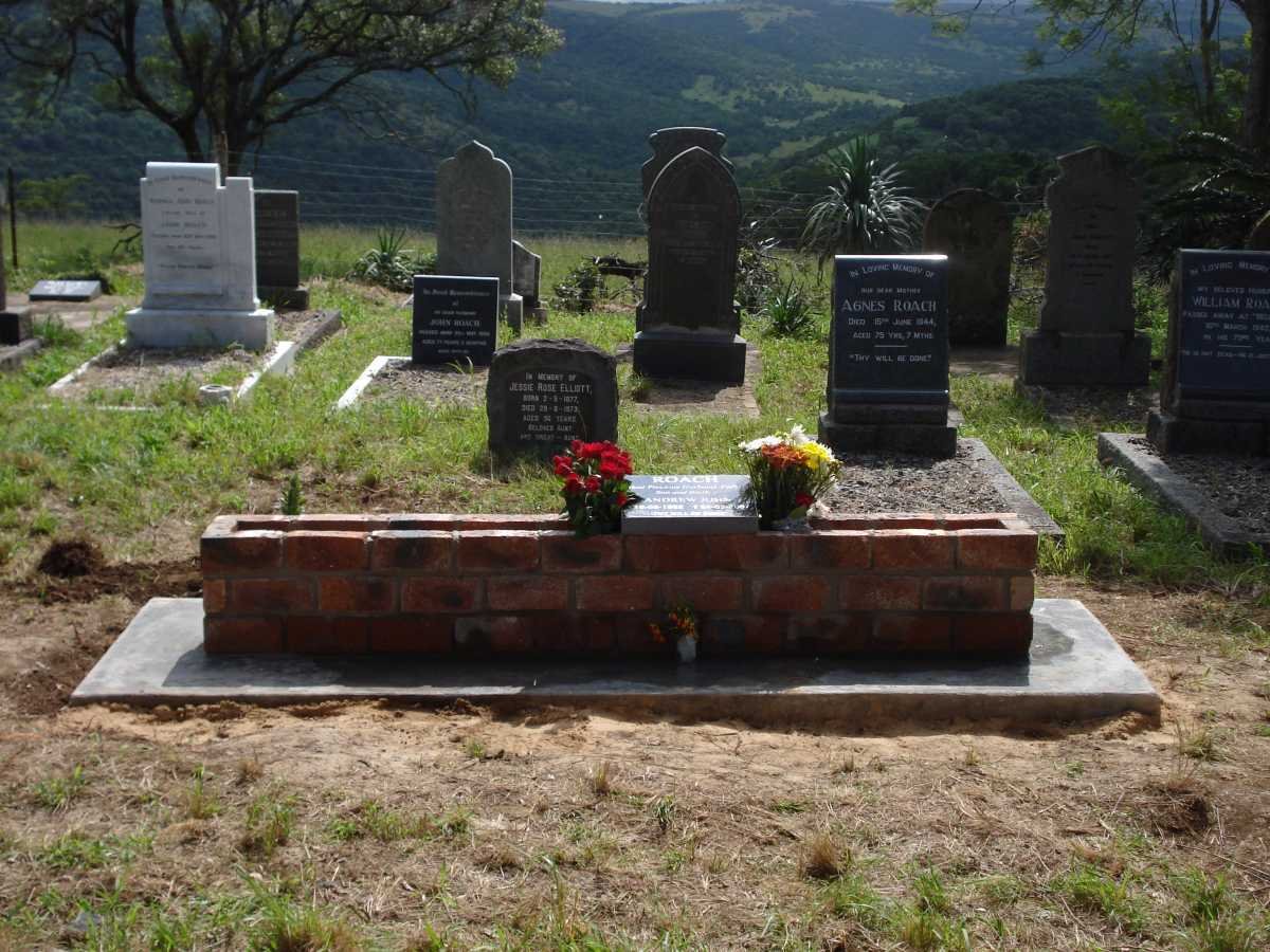 2. Overview
