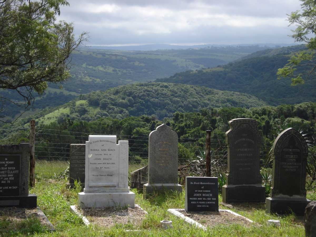 1. Overview