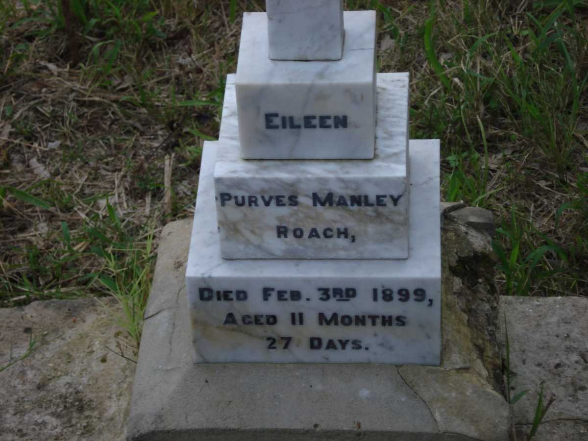 ROACH Eileen Purves Manley  -1899