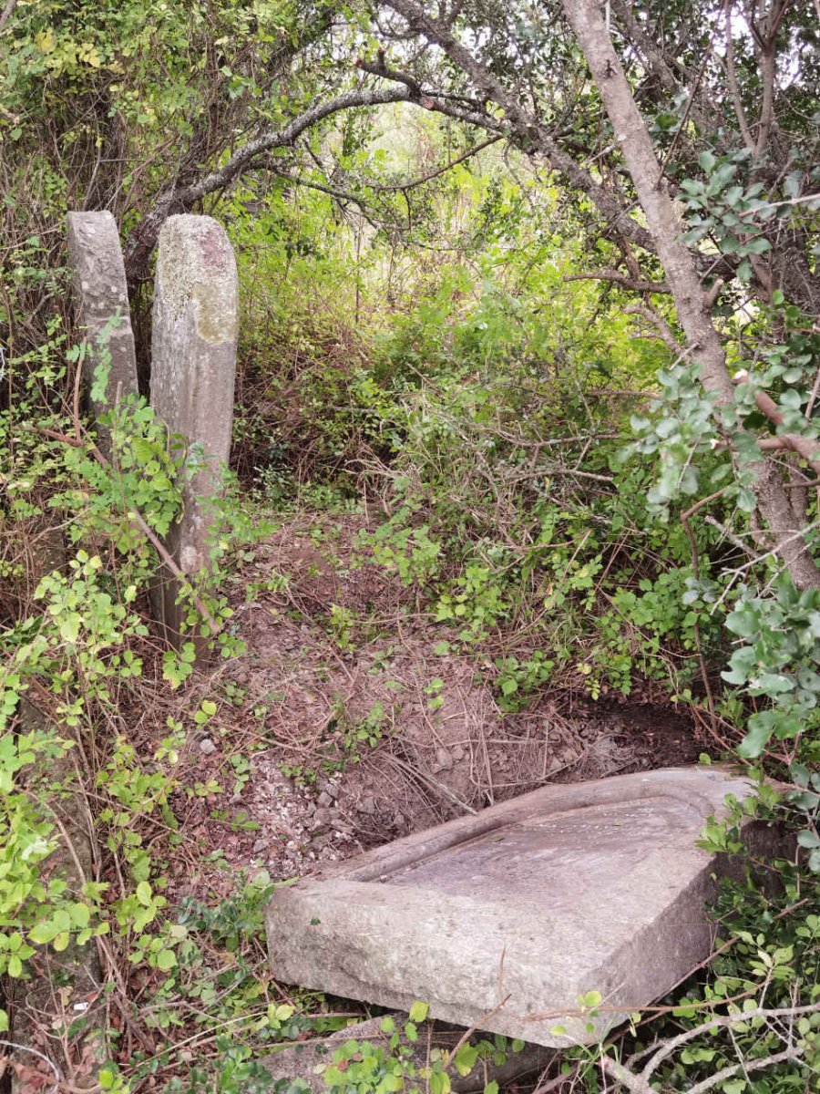 5. Overview/Oorsig