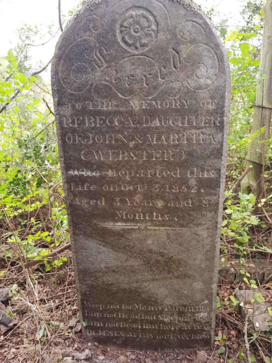 WEBSTER Rebecca -1852