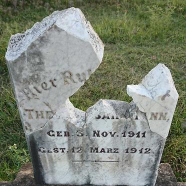 ??NN Theodore 1911-1912