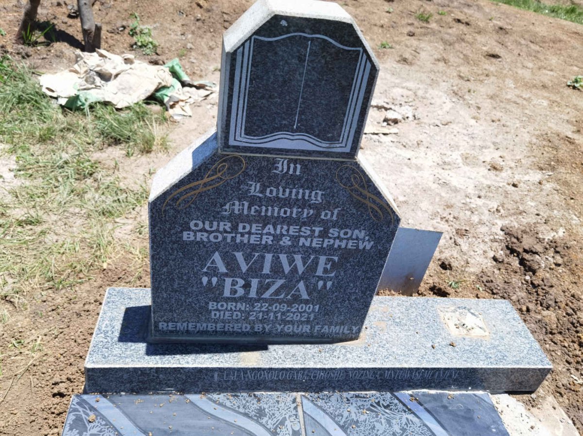 AVIWE Biza 2001-2021