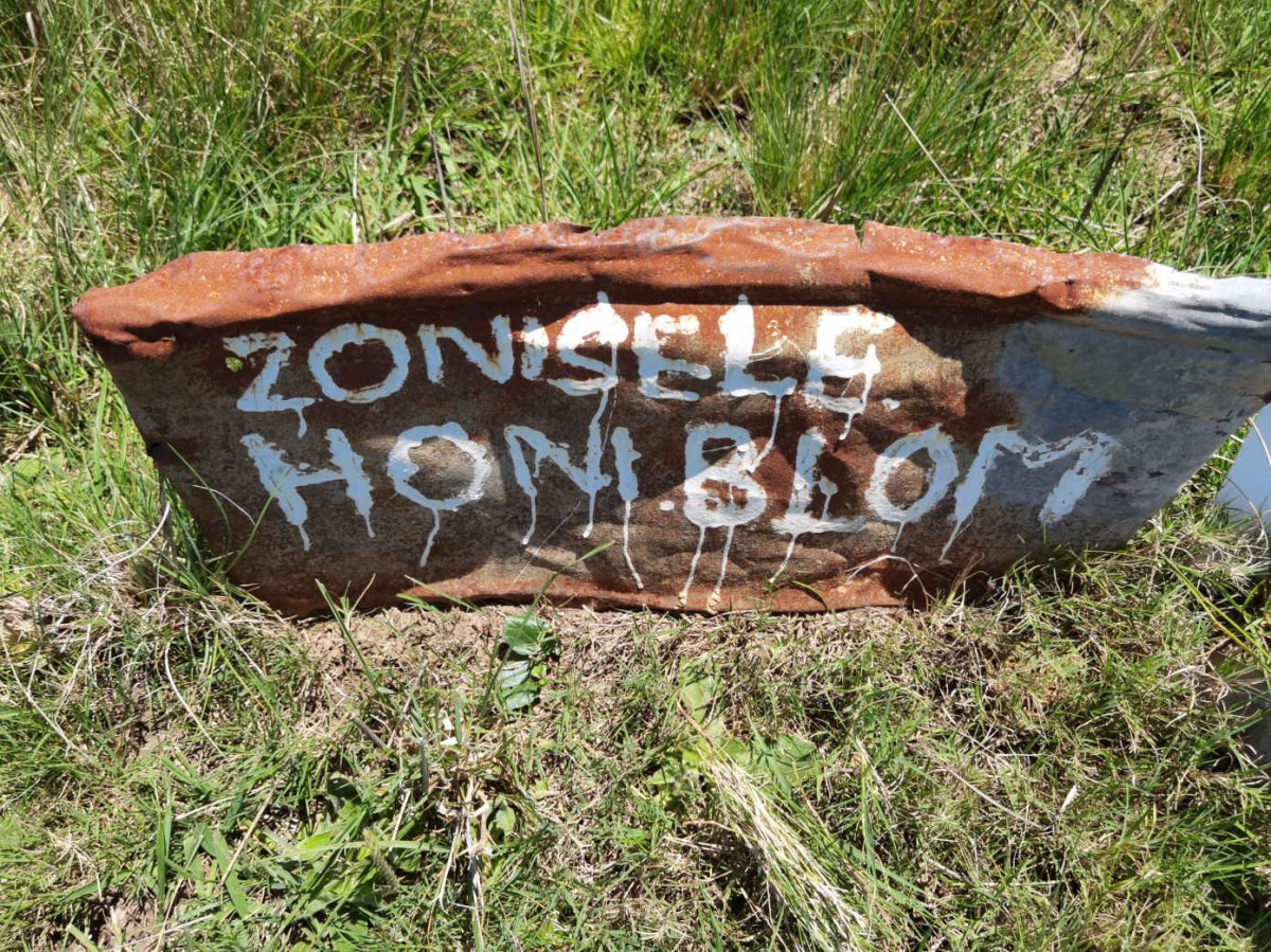 BLOM Zonisele Honi
