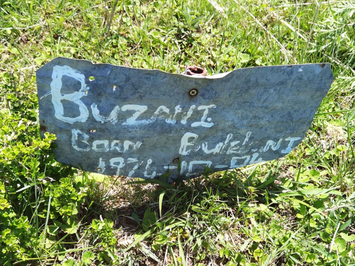 BUZANI ? 1974-?