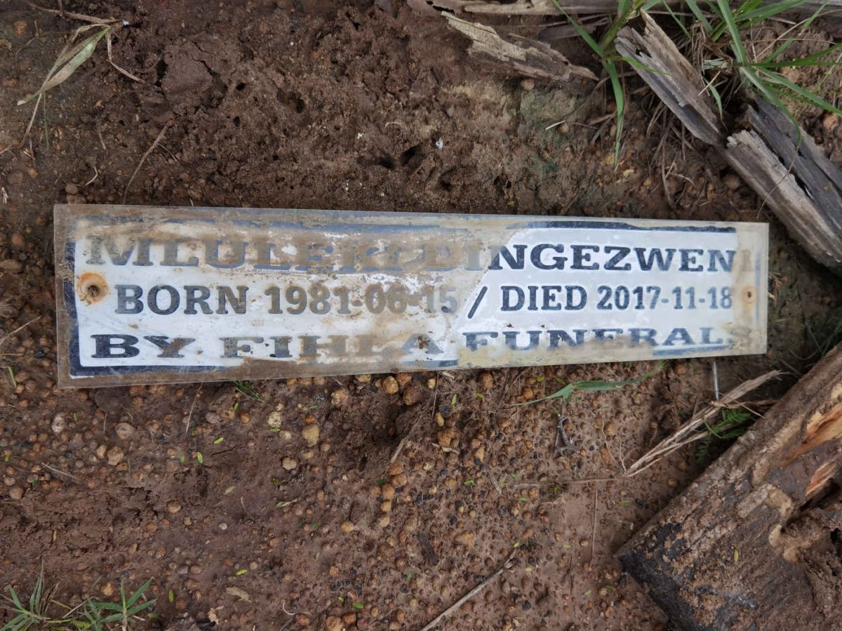 DINGEZWENI Miluleki 1981-2017