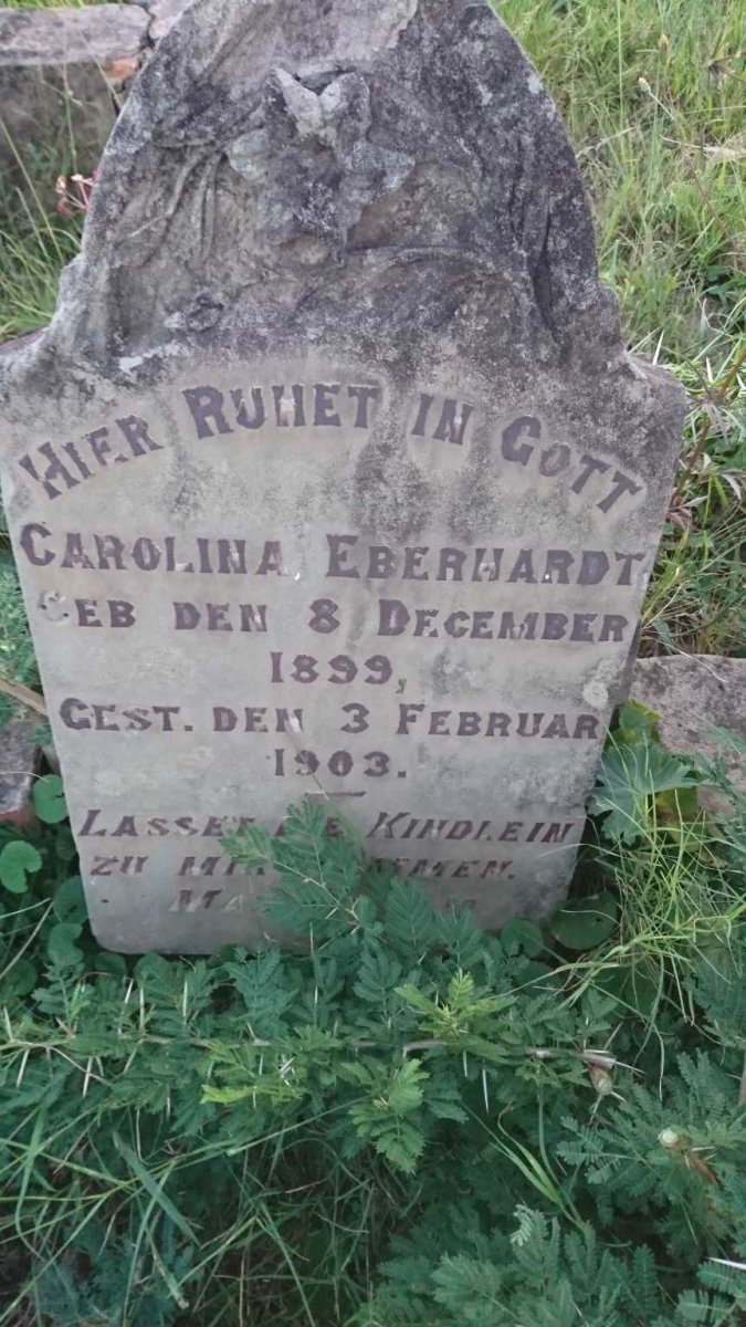 EBERHARDT Carolina 1899-1903