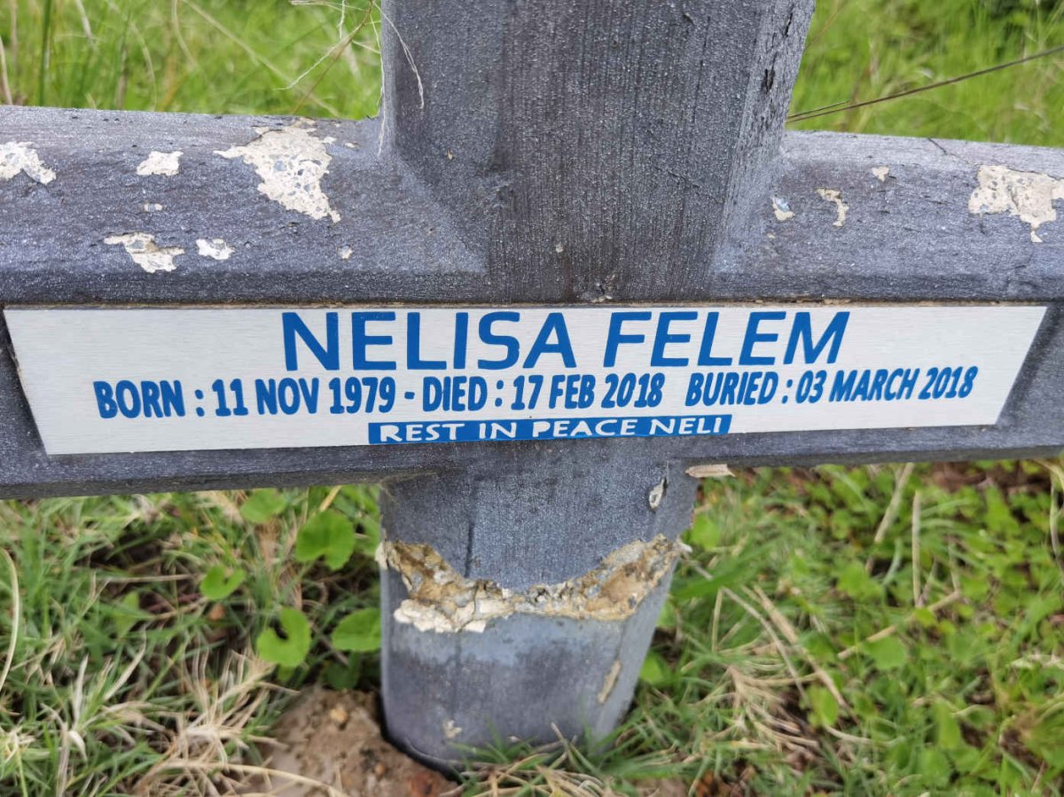 FELEM Nelisa 1979-2018