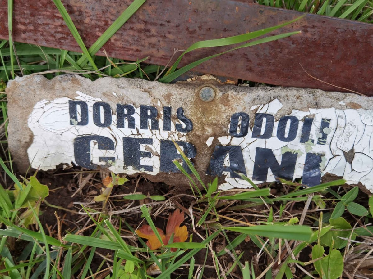 GEBANI Dorris Odoli