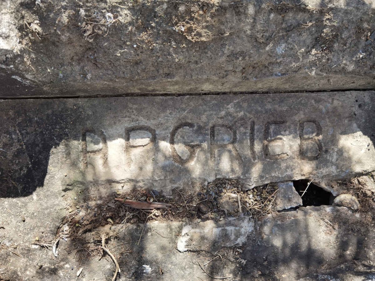 GRIEB A.P.