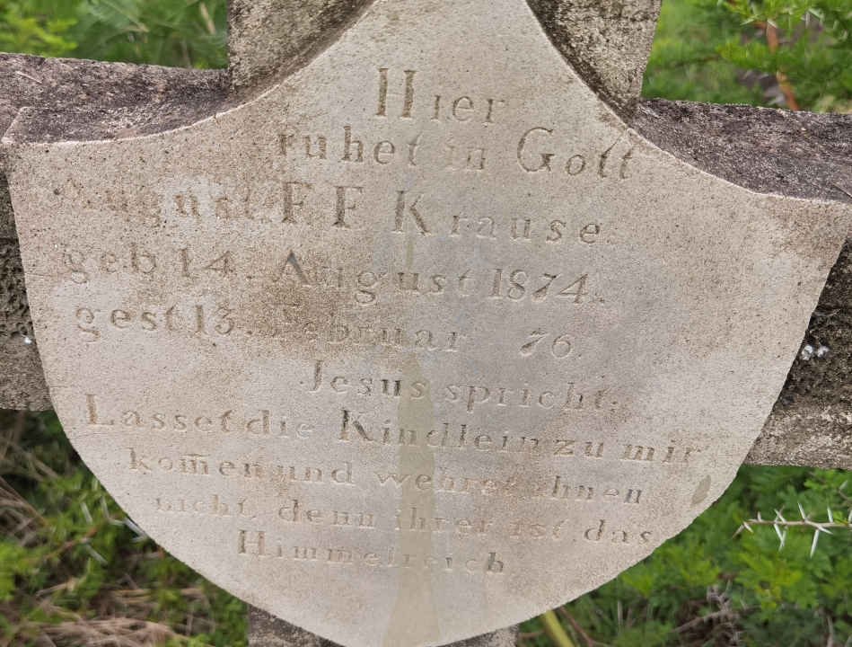 KRAUSE August F.F. 1874-1876