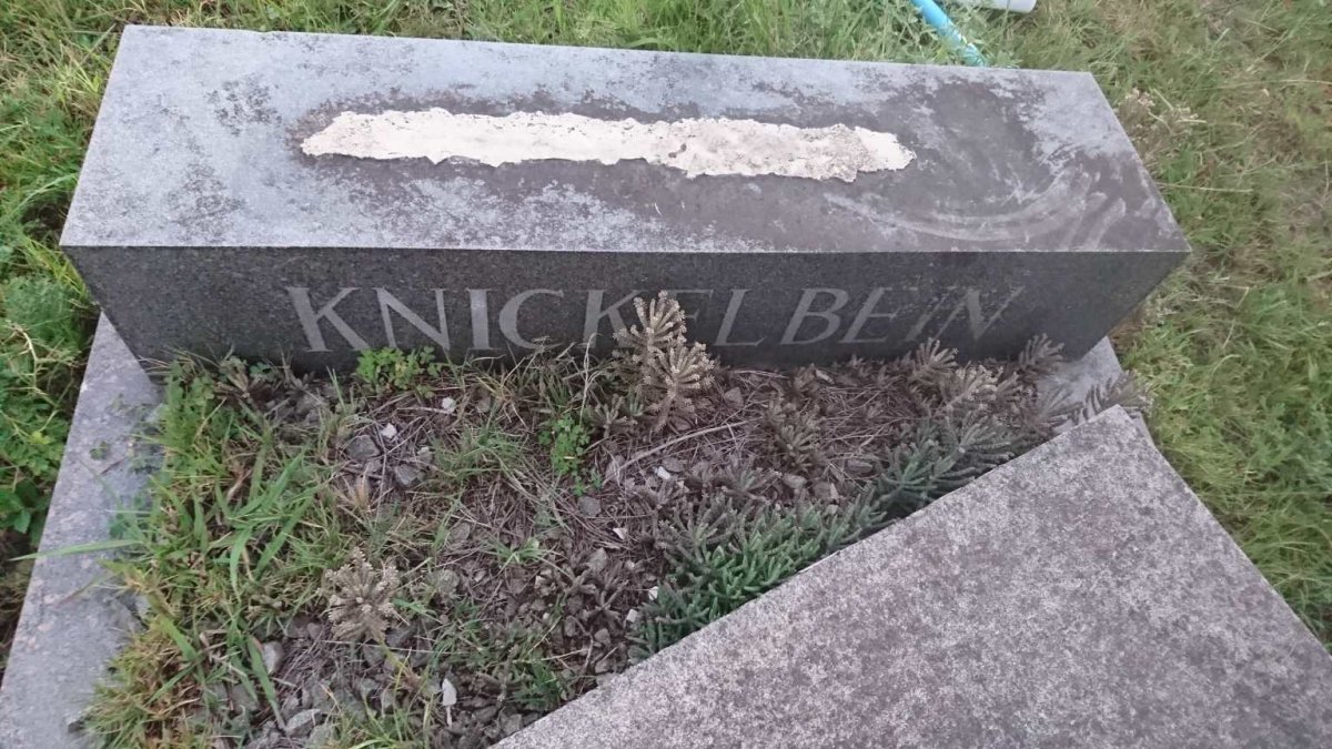 KNICKELBEIN Gustav 1895-1964