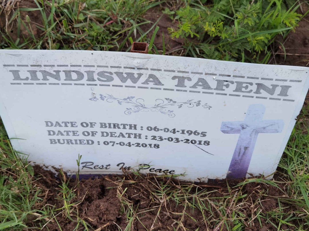 LINDISWA Tafeni 1965-2018