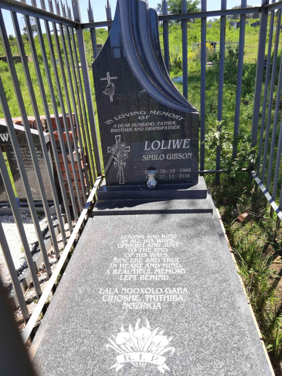 LOLIWE Similo Gibson 1960-2016