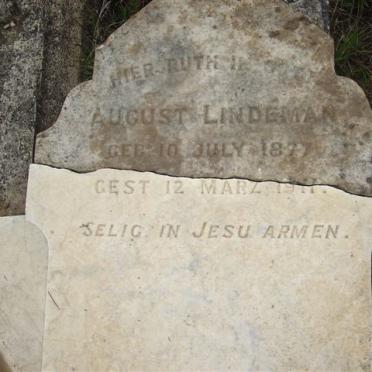 LINDEMAN August 1877-1911