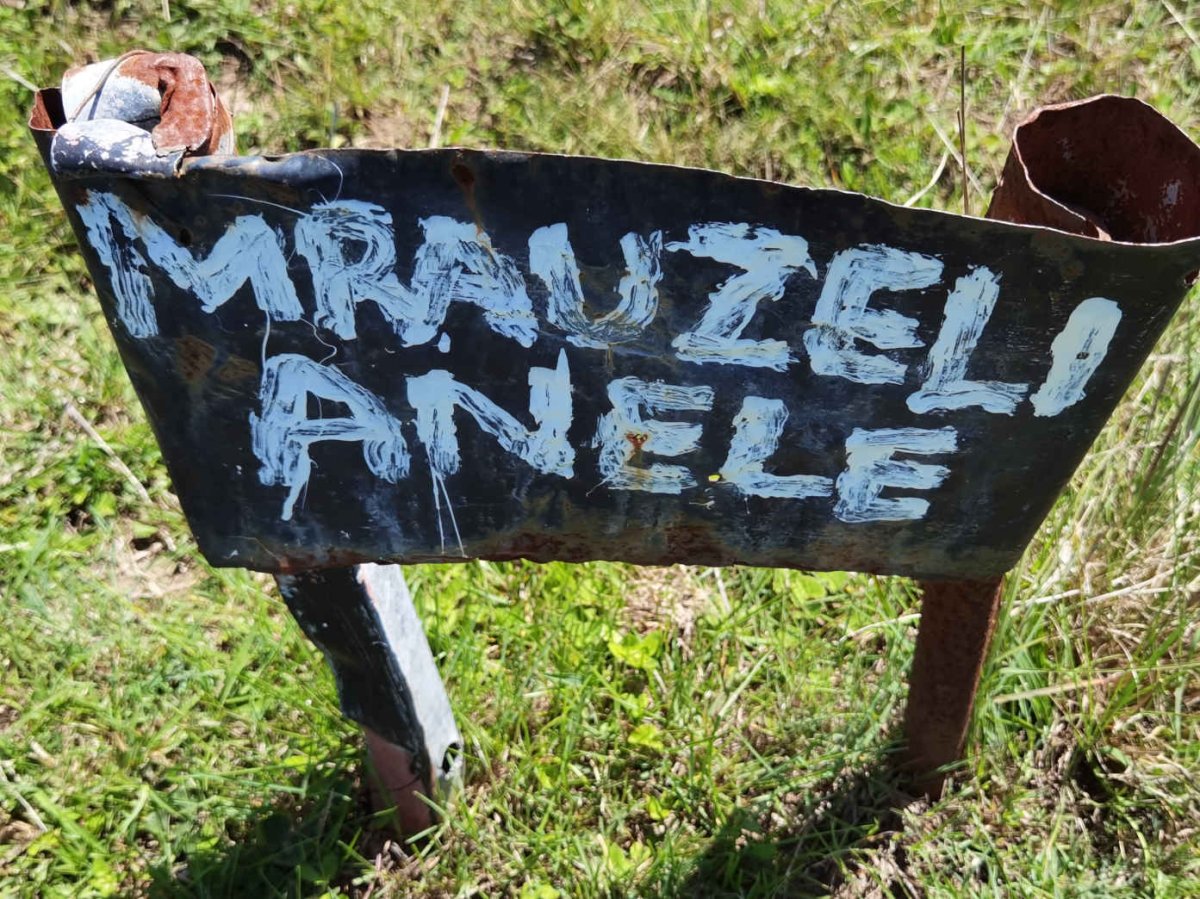 MRAUZELI Anele