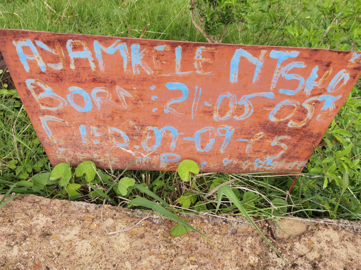 NTS? Ayamkele 2005-2005