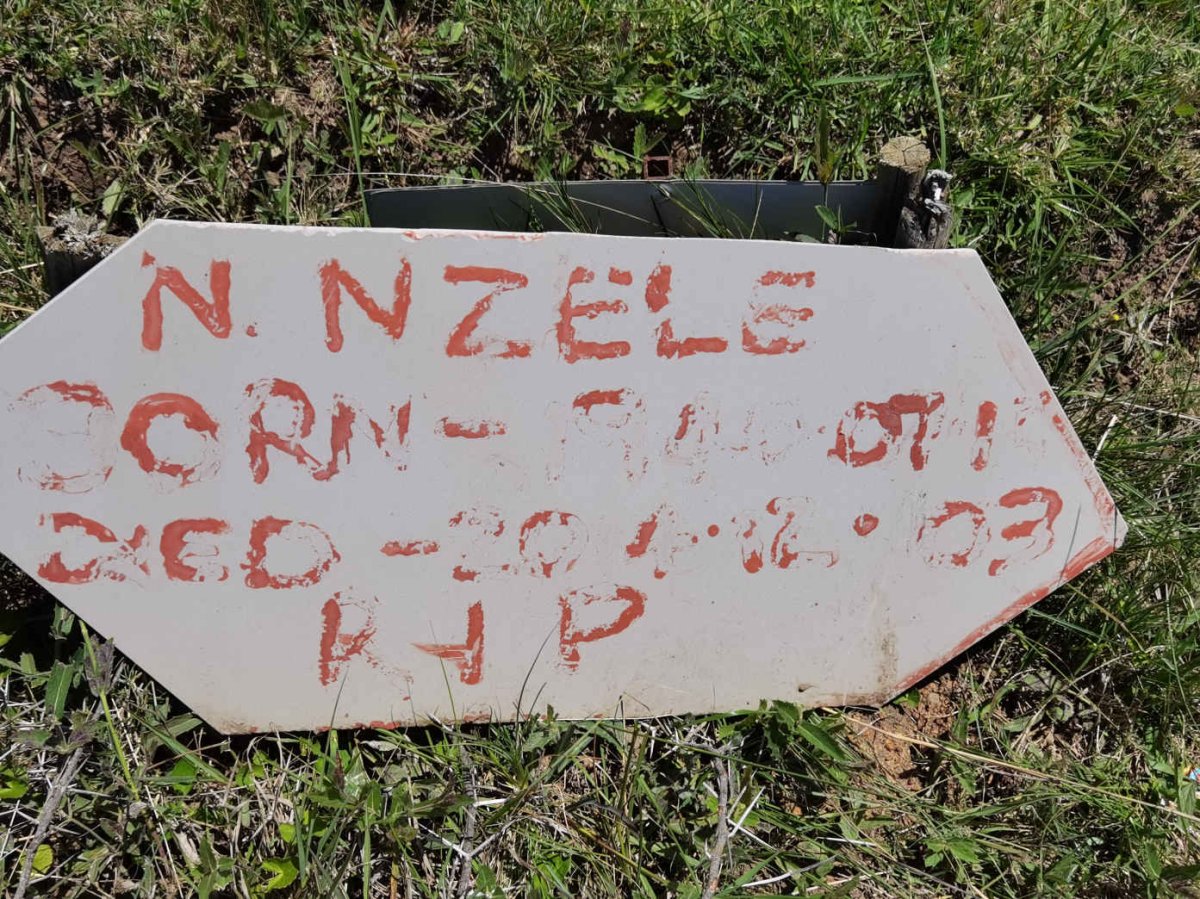 NZELE N ?-2014