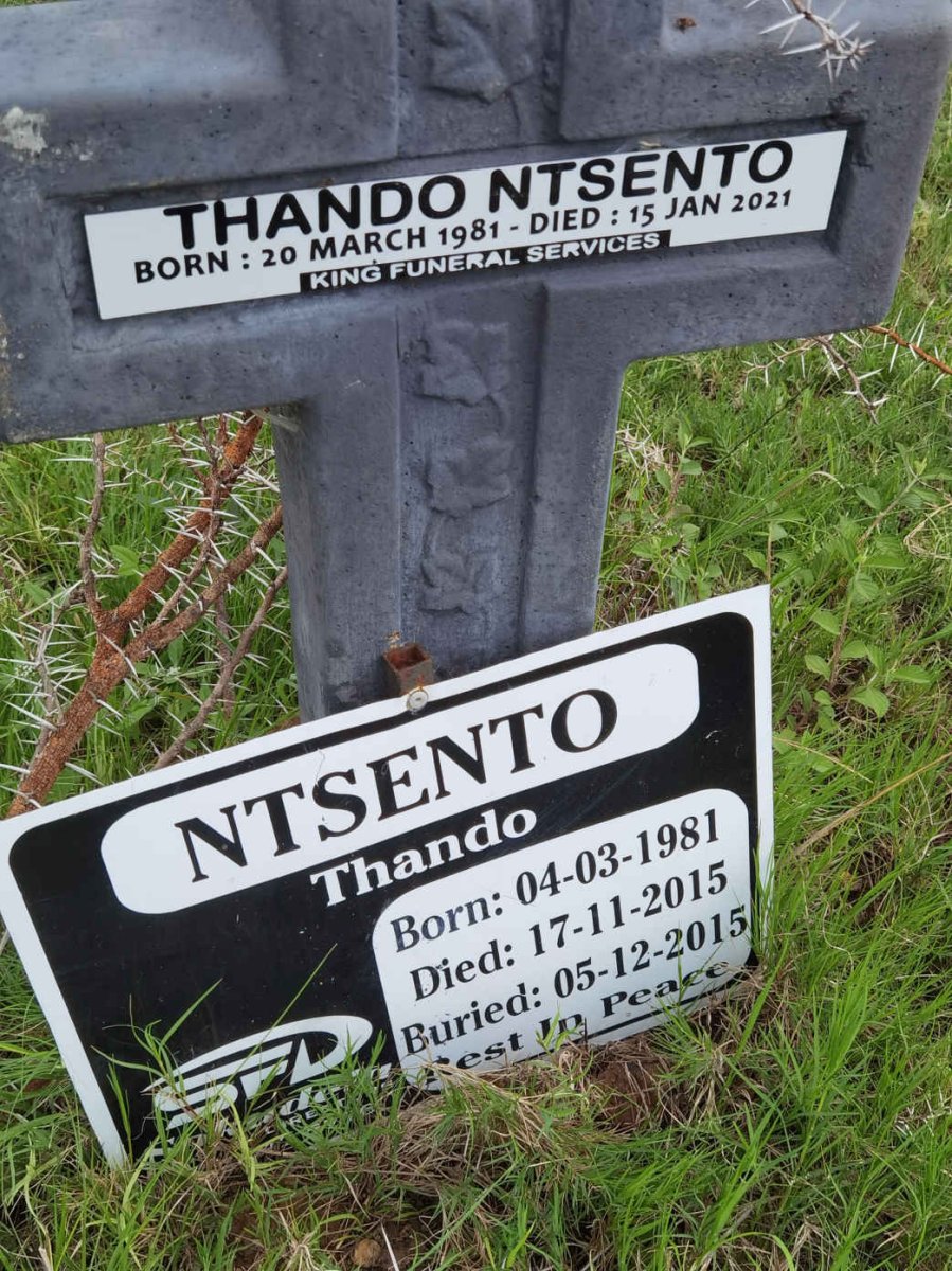 NTSENTO Thando 1981-2015 :: NTSENTO Thando 1981-2021