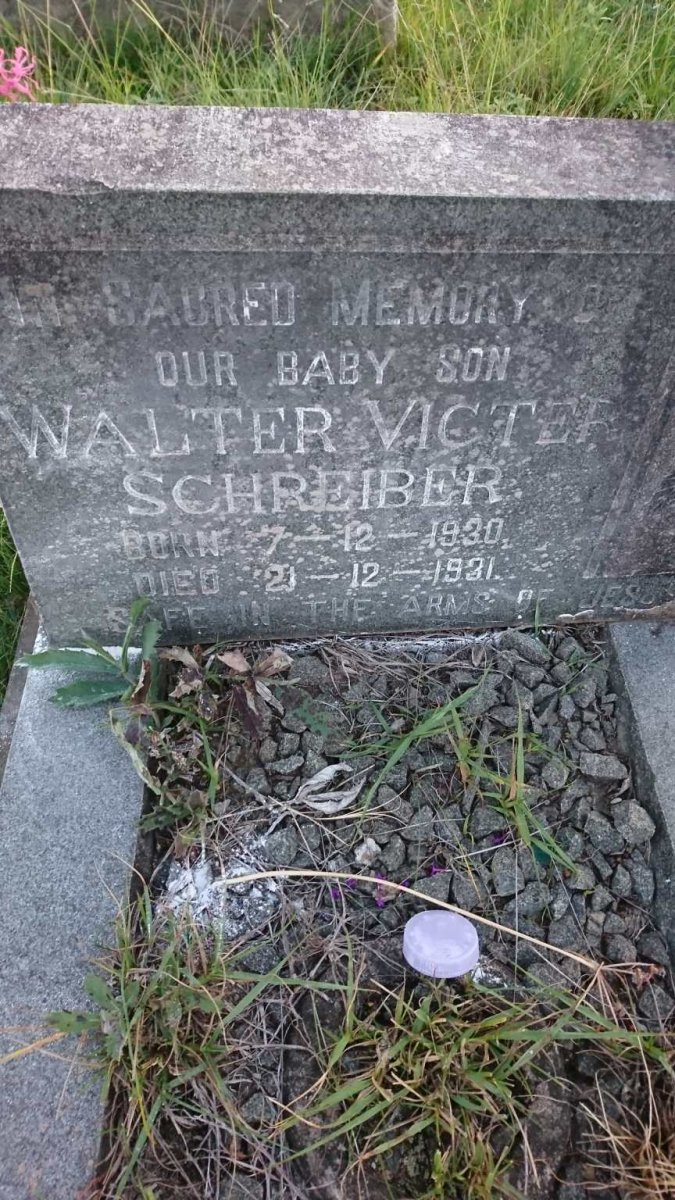 SCHREIBER Walter Victer 1930-1931