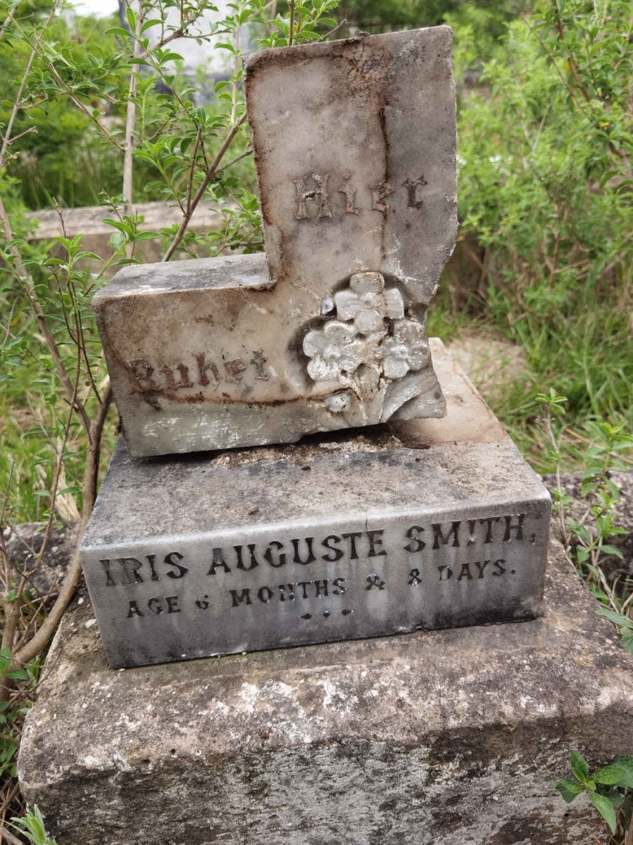 SMITH Iris Auguste