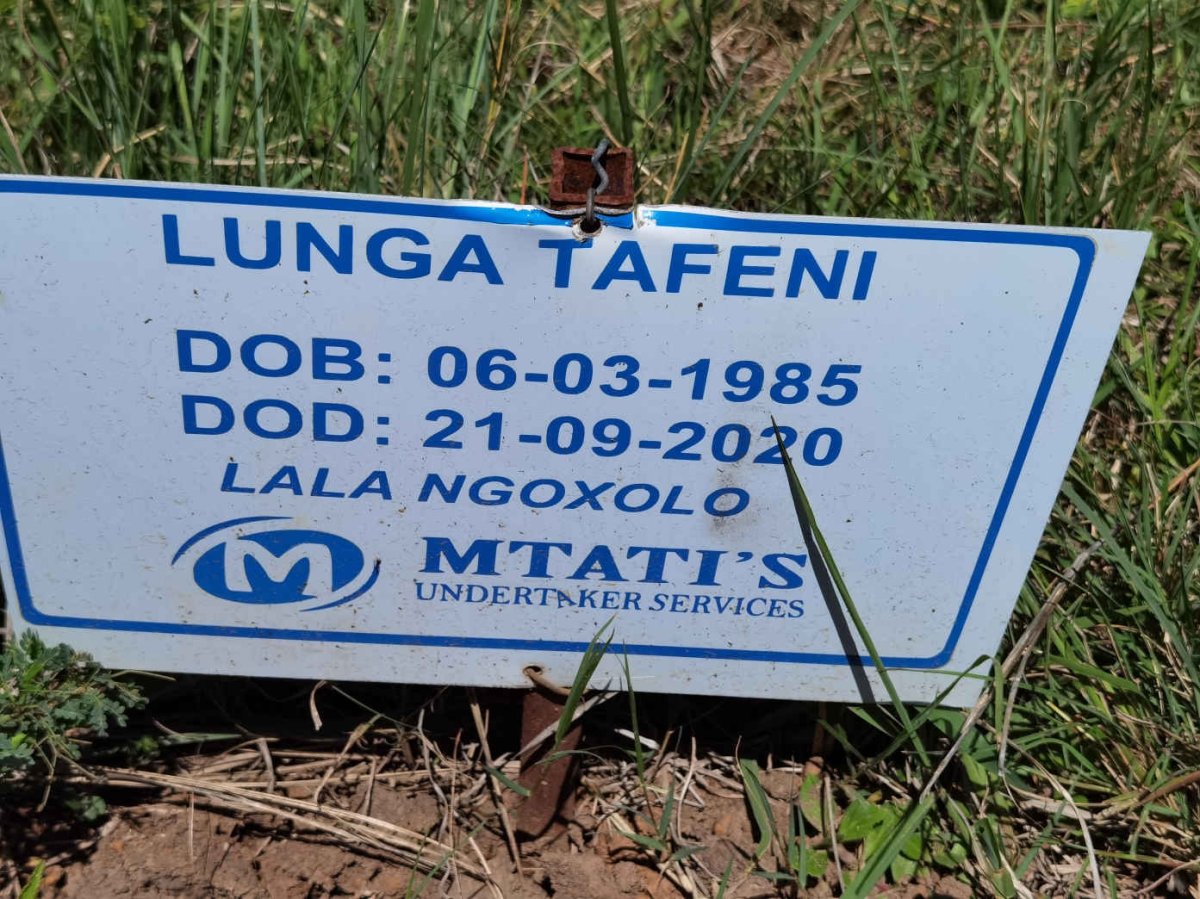 TAFENI Lunga 1985-2020
