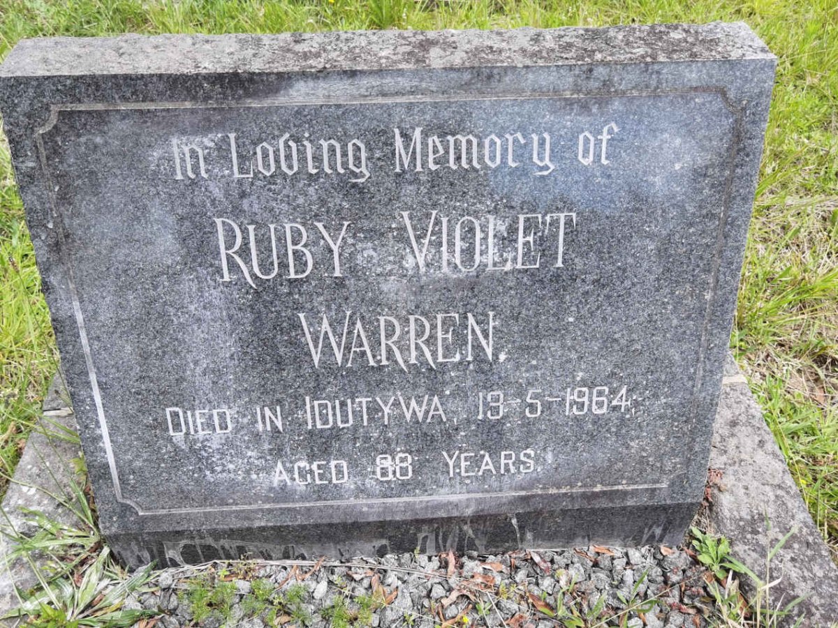 WARREN Ruby Violet -1964