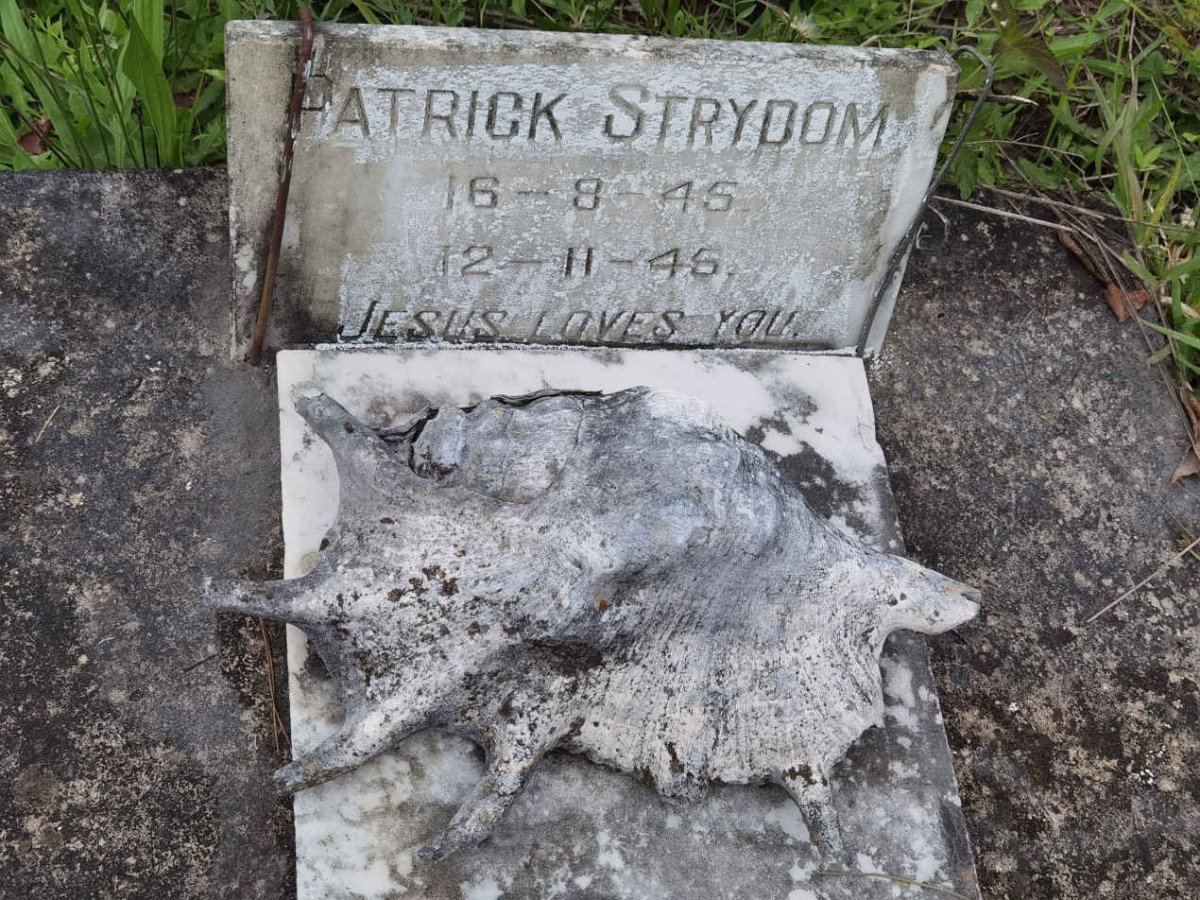 STRYDOM Patrick 1945-1945