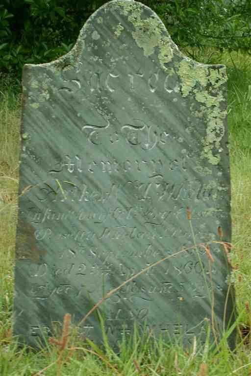 WHELAN Arthur W.T. -1860 :: WHELAN Ernest W.M. 1864