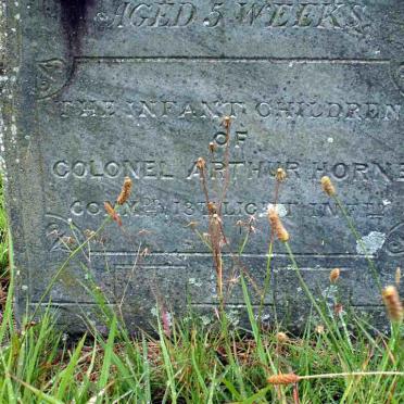 HORNE Family Grave