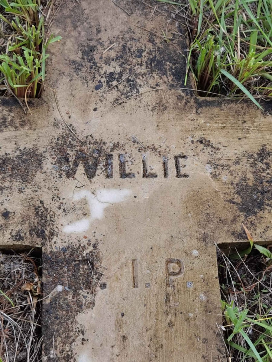 ? Willie