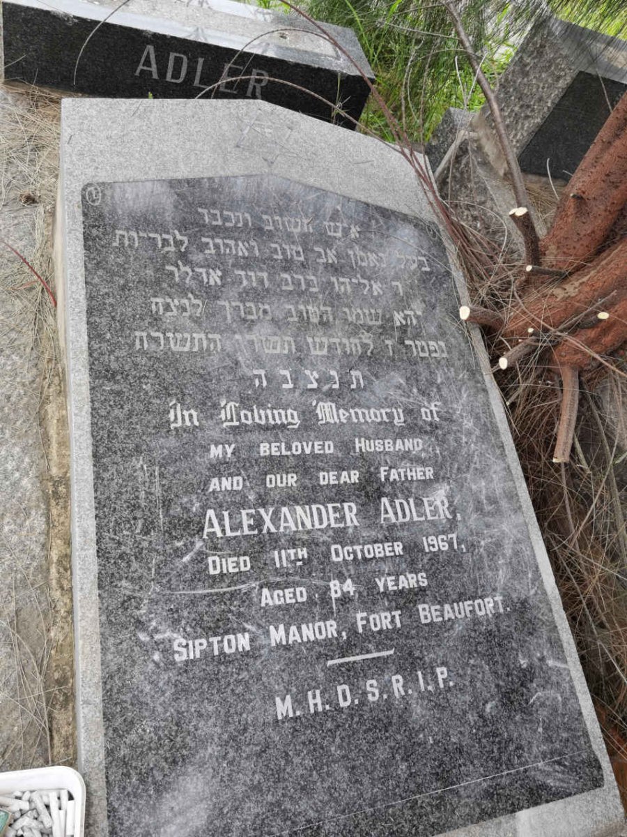ADLER Alexander -1967