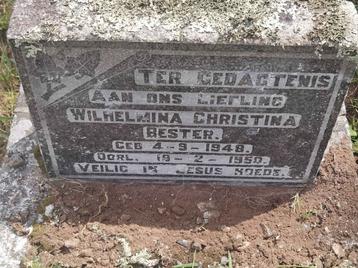 BESTER Wilhelmina Christina 1948-1950