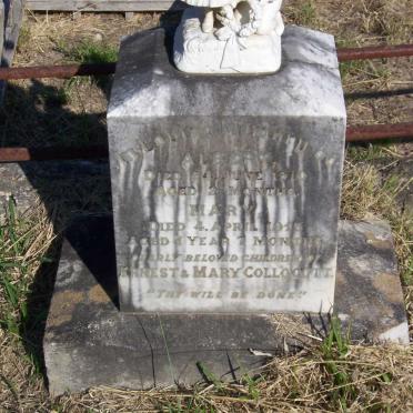 COLLOCOTT Albert -1910 :: COLLOCOTT Mary -1913