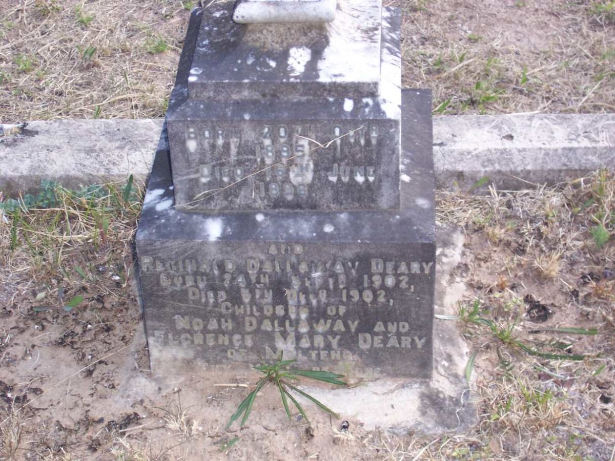 DEARY Reginald Dallaway 1902-1902