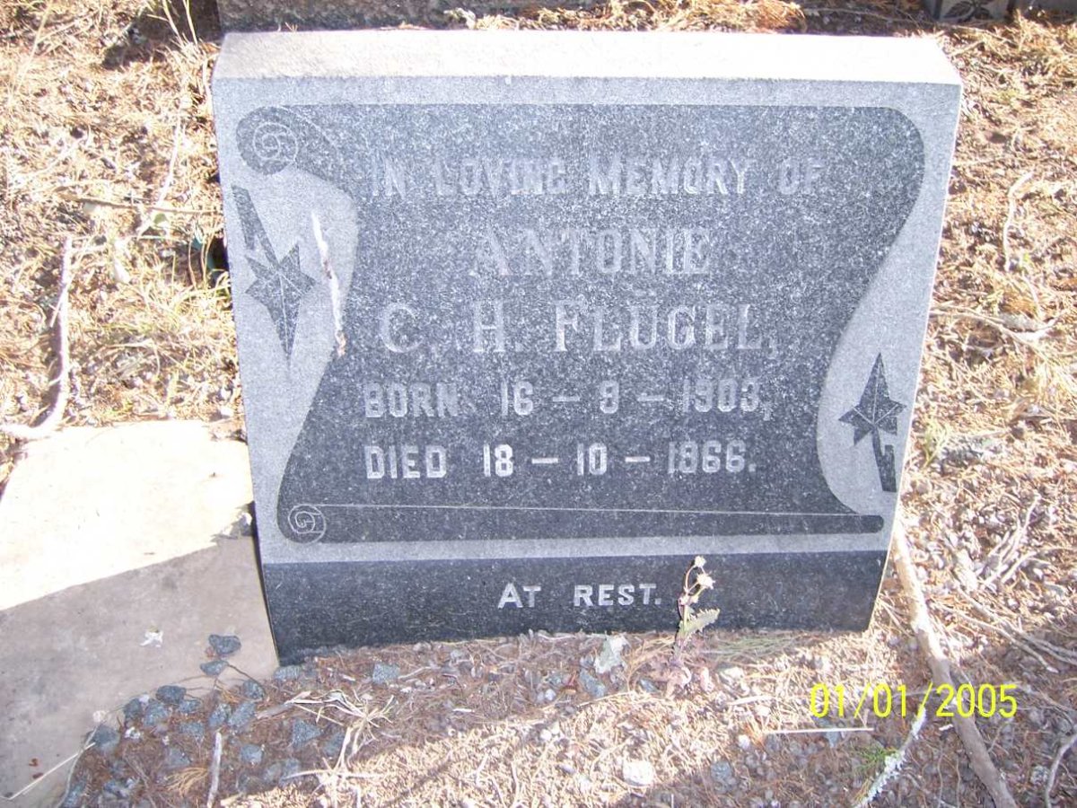 FLUGEL Antonie C.H. 1903-1966