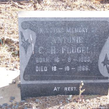 FLUGEL C.H. 1903-1966