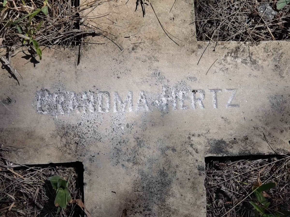 HERTZ Grandma