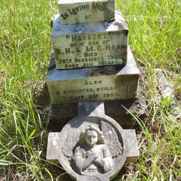 Ho - Surnames starting with the letters Ho