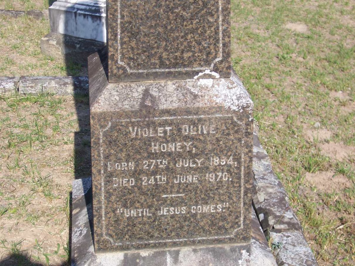 HONEY Violet Olive 1894-1970