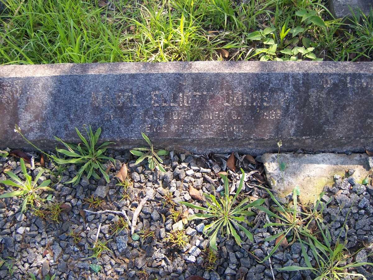 JOHNSON Mabel Elliott 1876-1968