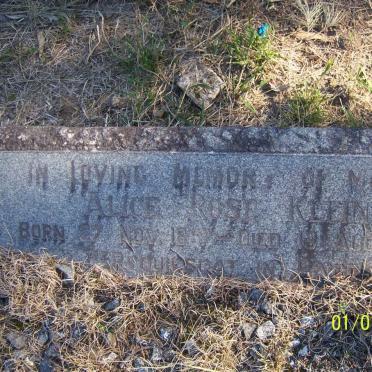 KLEIN Alice Rose 1867-1958