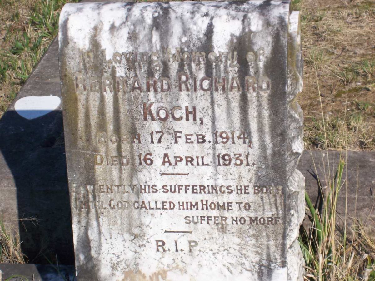 KOCH Bernard Richard 1914-1931