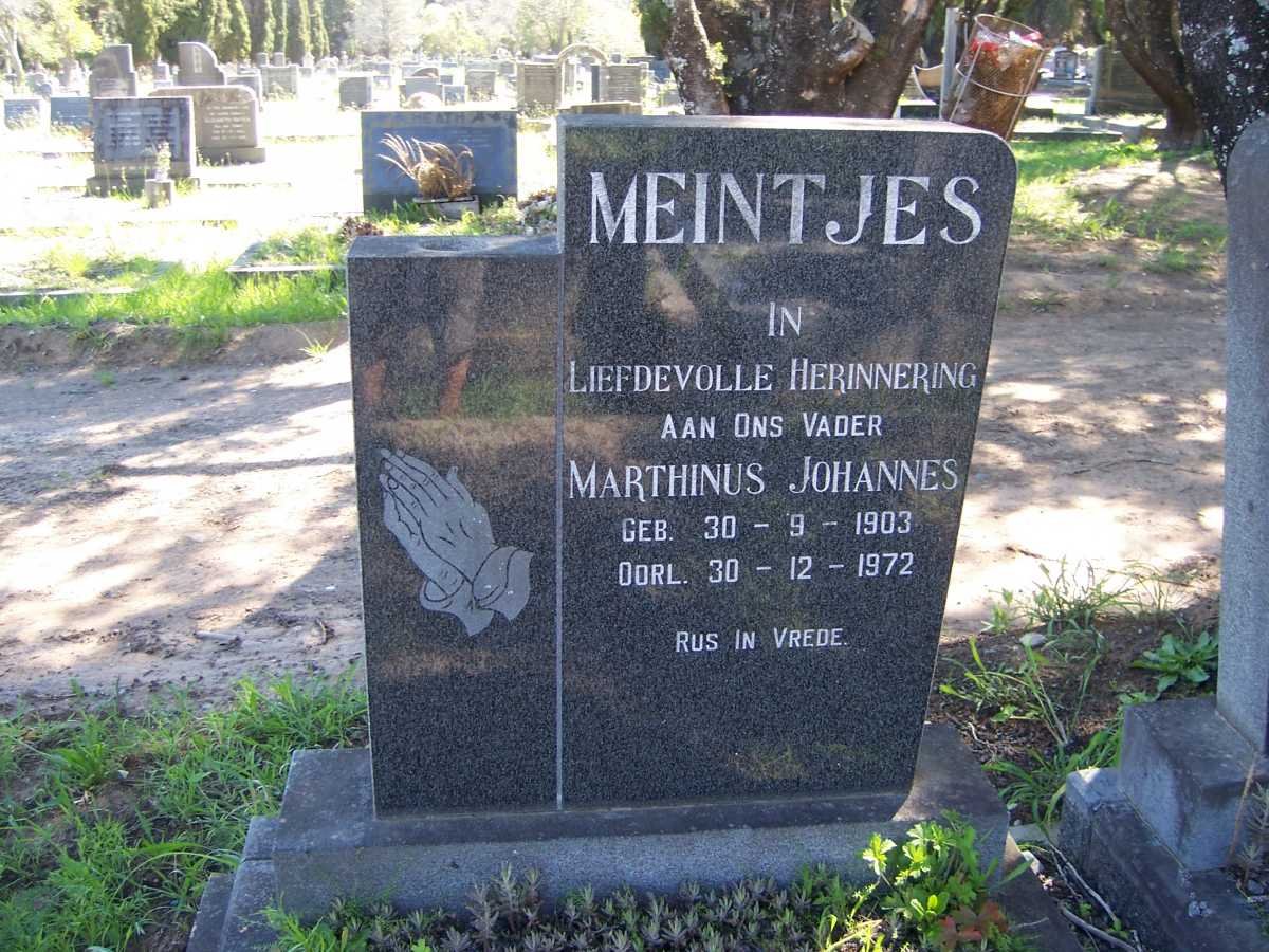 MEINTJES Marthinus Johannes 1903-1972