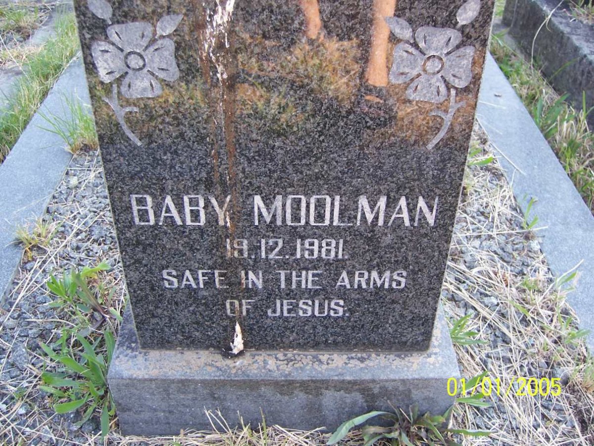 MOOLMAN -1981