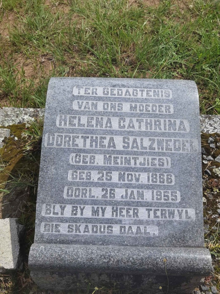 SALZWEDEL Helena Cathrina Dorethea nee MEINTJIES 1866-1955