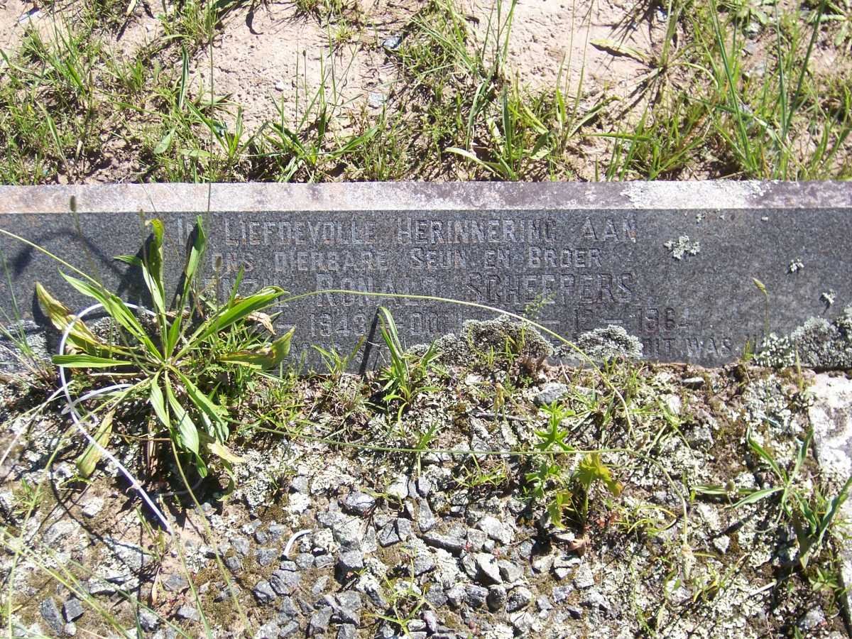 SCHEEPERS Denzil Ronald 1943-1964
