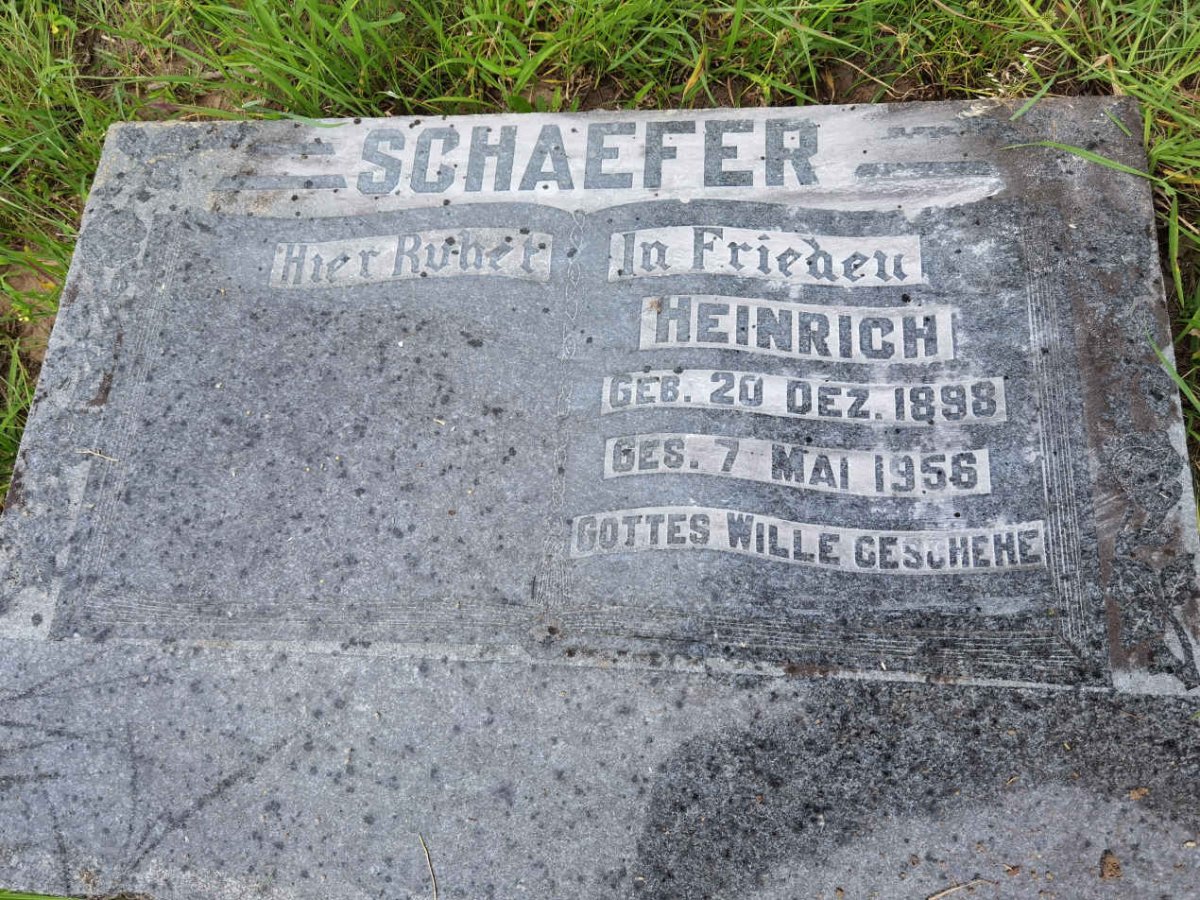 SCHAEFER Heinrich 1898-1956